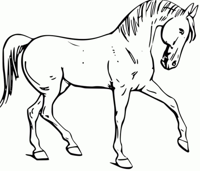 Coloring book horse pictures